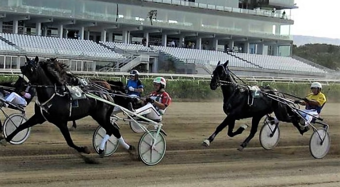 Società ippodromi su Manovra: ‘Scongiurata riduzione finanziamenti, grazie al Masaf’