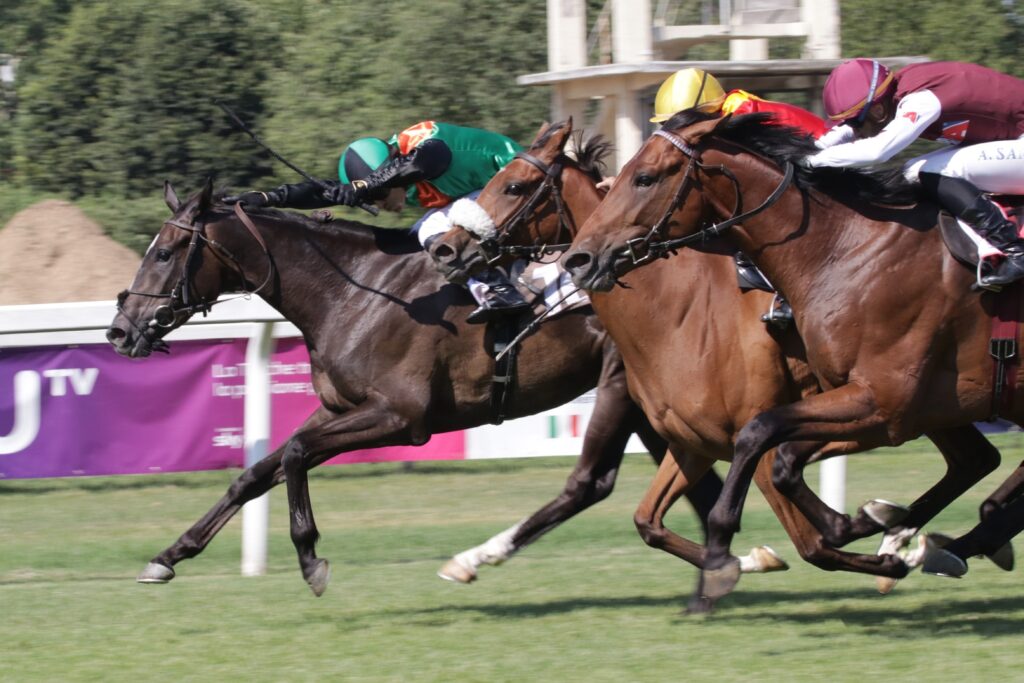 Ippodromi Snai, i vincitori del weekend di corse a San Siro e Sesana