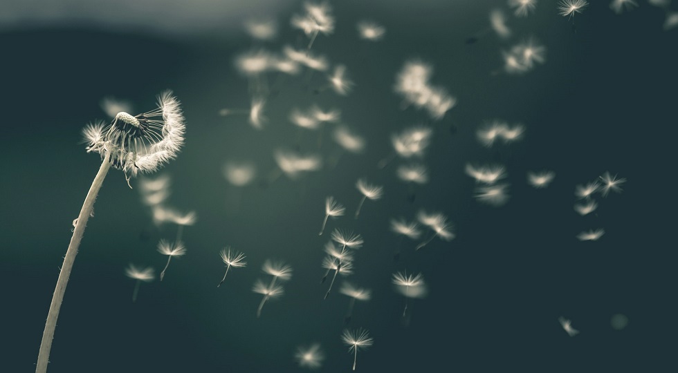 Gioco online e fisico: riordino nel limbo, ma le novità sono ormai alle porte