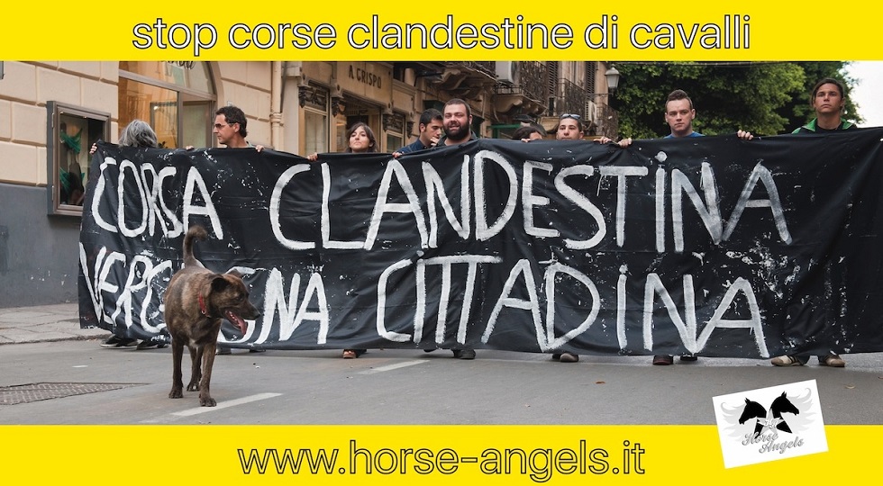 Corse clandestine di cavalli, Horse angels agli ippodromi: ‘Promuovere cultura della legalità’