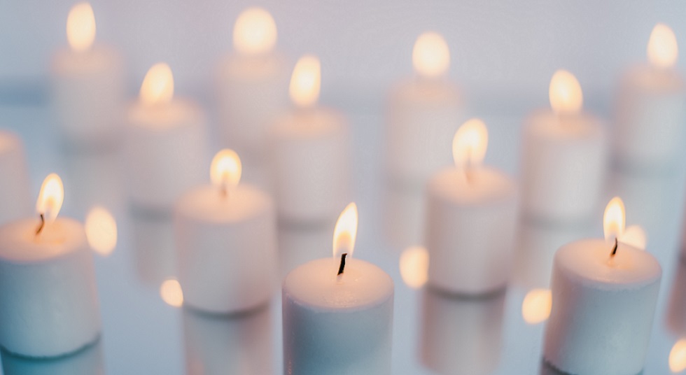 Canesi: ‘Istituzioni nobilitate anche grazie a Erminia Cesari’