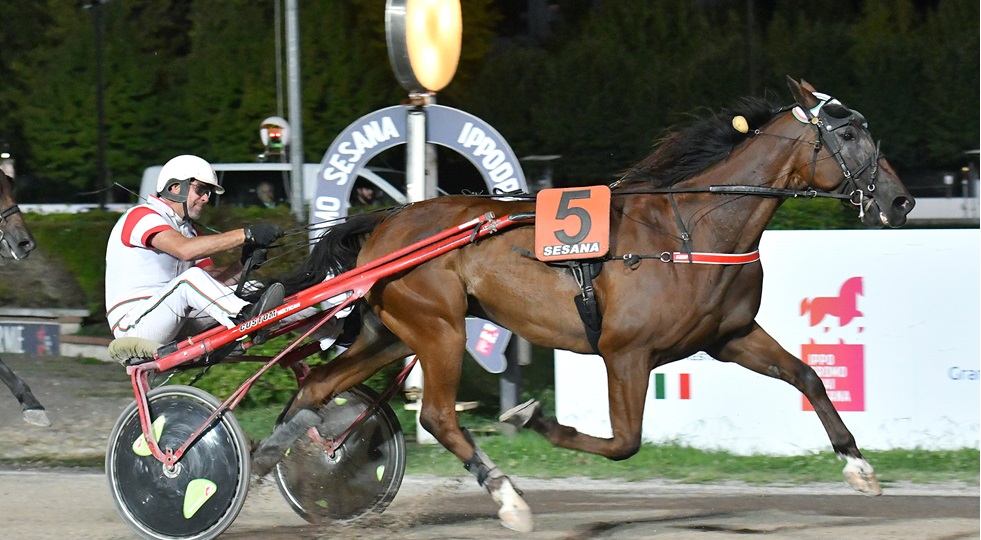 Ippodromi Snai: i risultati delle corse nel primo weekend di settembre, e il 10 di nuovo in pista