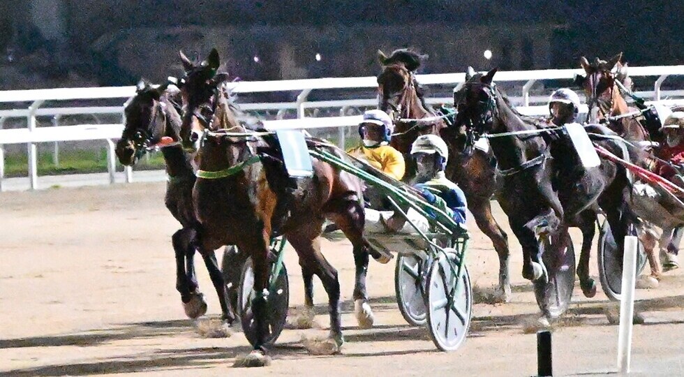 Ippodromo Snai San Siro: al via un nuovo ciclo di convegni nel segno del trotto