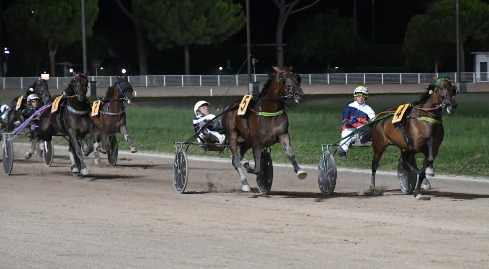 Ippodromo Snai Sesana, 7 corse intitolate all’Avis Toscana per l’ultima di luglio