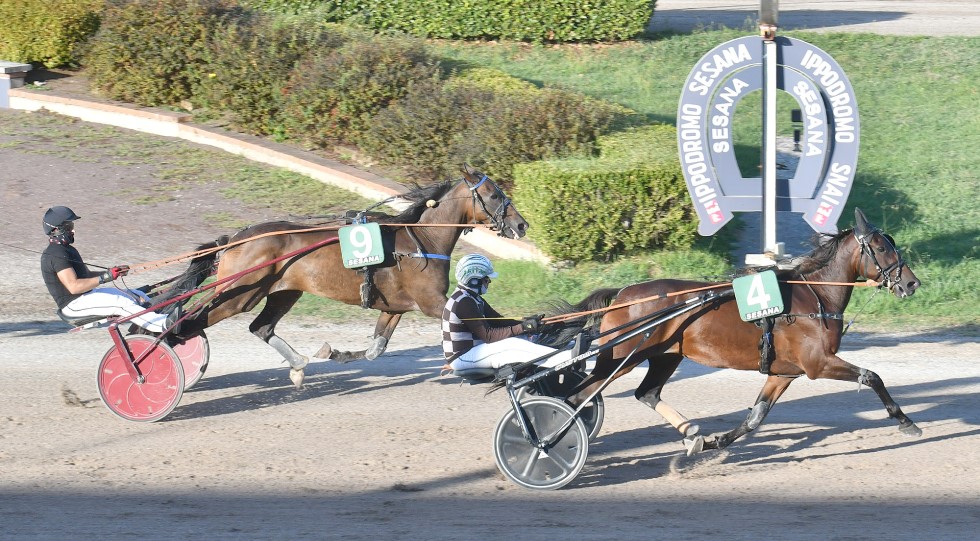 Ippodromo Snai Sesana, in evidenza il Premio Associazione Giuliasmile Aps