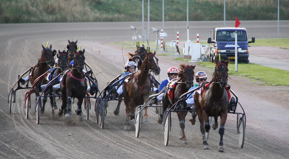 Horse angels: ‘Nuovo sottosegretario dia degna rappresentanza agli ippici’