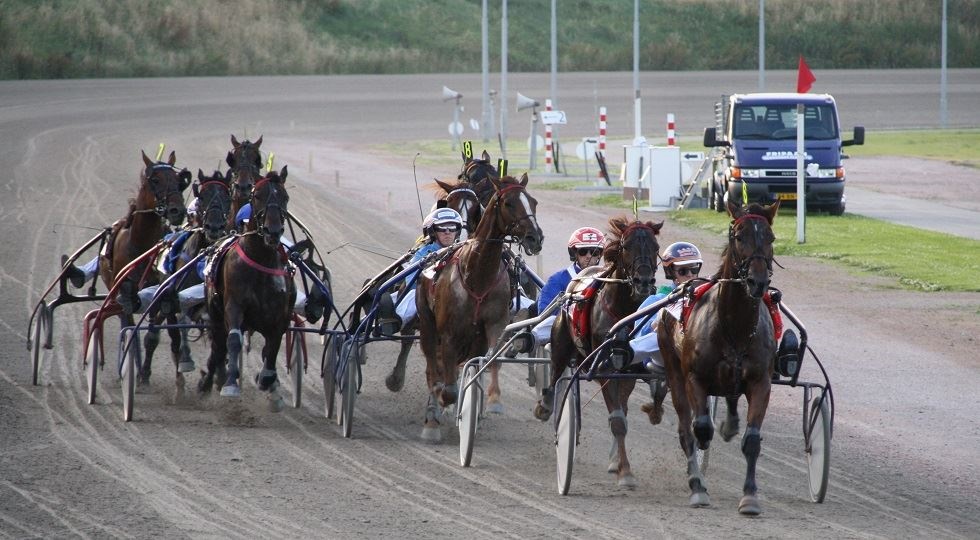 Ippica, Gran premio nazioni: accordo in esclusiva tra Epiqa e le Cheval français