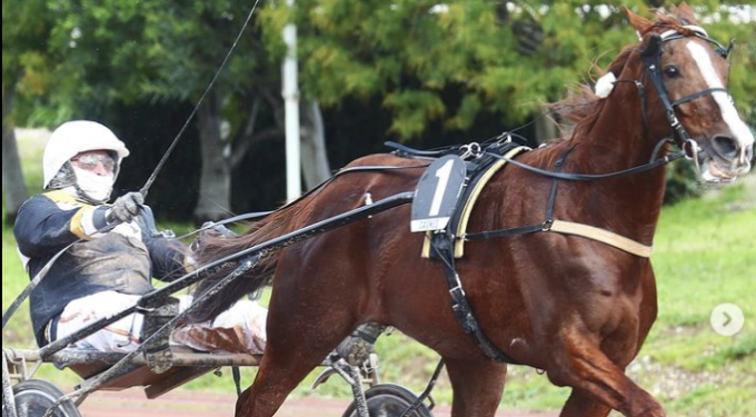 Lollobrigida (Masaf): ‘Grazie a chi rende ippica italiana competitiva nel mondo’