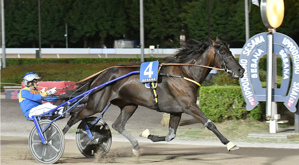 Ippodromo Snai Sesana: Vesna trionfa nel Premio Zelari Enterprise