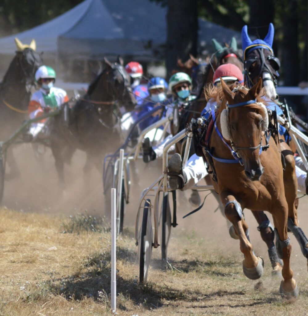 Masaf, al via un corso per l’utilizzo del nuovo sistema applicativo