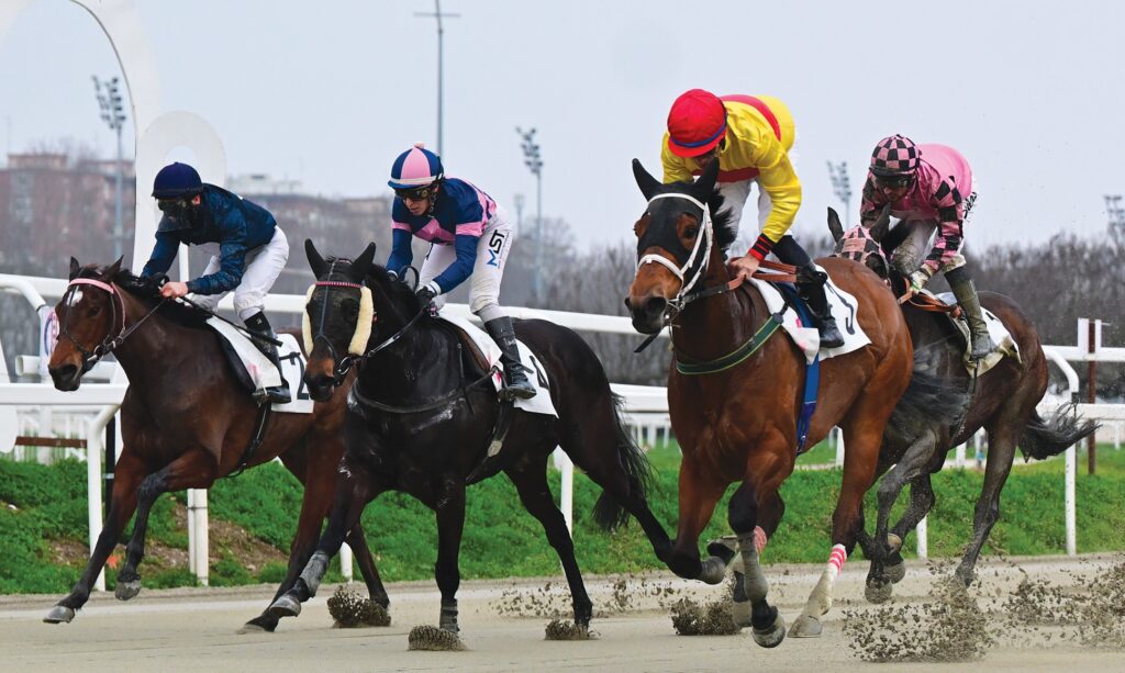 Ippodromo Snai San Siro, Lucky Love vince il Premio Fantasio