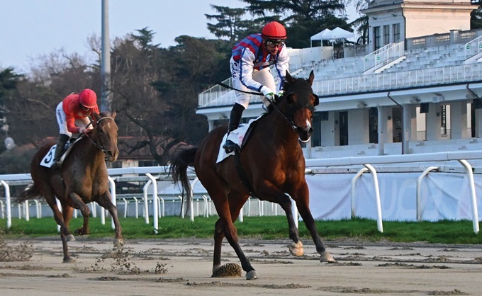 Ippodromo Snai San Siro: trionfo per Grace The Gray nella Tqquna