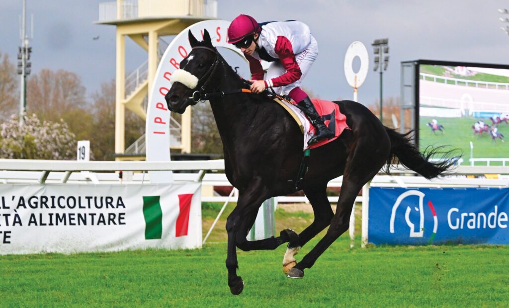 Ippodromo Snai San Siro: Anthaia fa suo il Premio Pappa Reale
