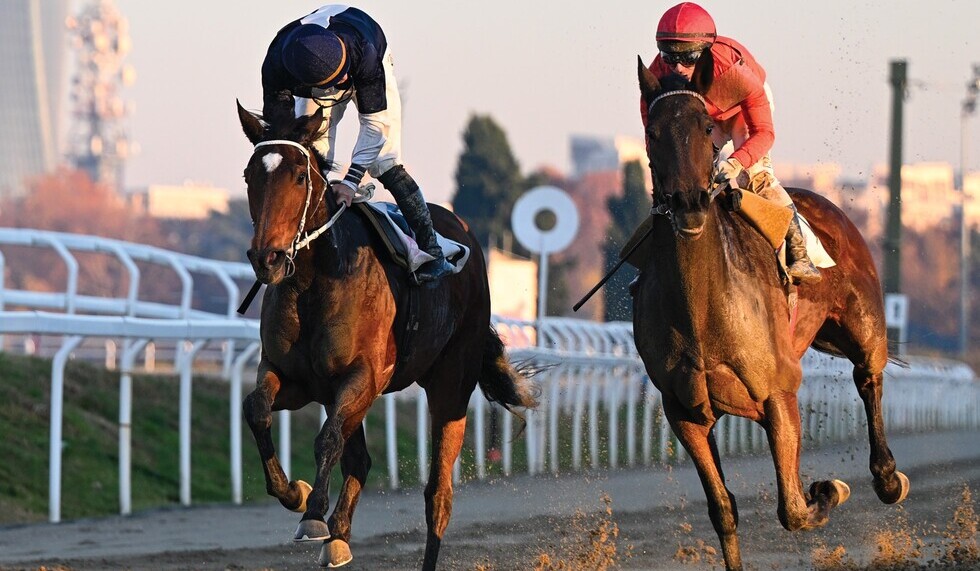 Mercoledì 11 marzo: ultima giornata di corse sulla sabbia all’Ippodromo Snai San Siro