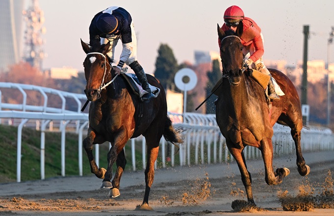 Ippodromo Snai San Siro: si apre la stagione in erba