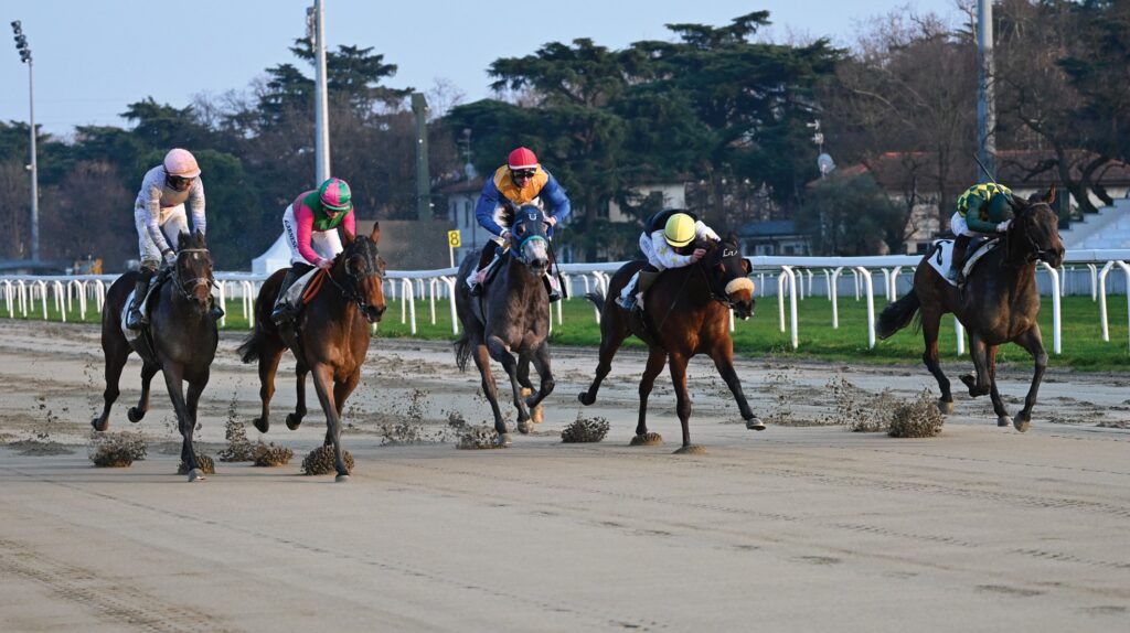 Uae President Cup 2026: l’Italia rivede una corsa di Gruppo 1 grazie ai purosangue arabi