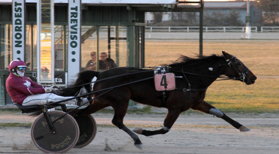 Ippodromo Treviso, il meeting di primavera omaggia le donne