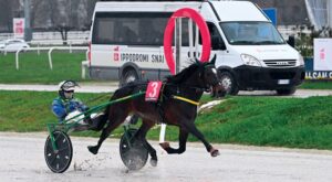 Ifly Point si aggiudica la Super Condizionata del sabato di trotto all'Ippodromo Snai San Siro (Foto Ippodromo Snai San Siro)
