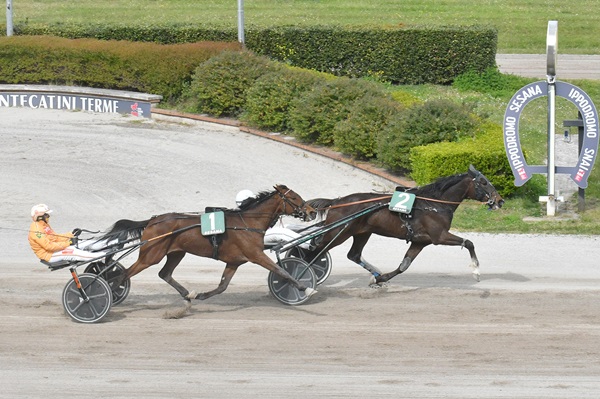 Ippodromi Snai Sesana e San Siro, tutte le corse di trotto e galoppo