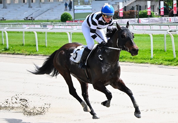 Ippodromo Snai San Siro, protagonista Calzolaia che vince il Premio Piazzale Lotto