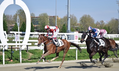 Ippodromo Snai San Siro, galoppo: Regina di Spade e Salar Forever protagoniste nel mercoledì delle femmine