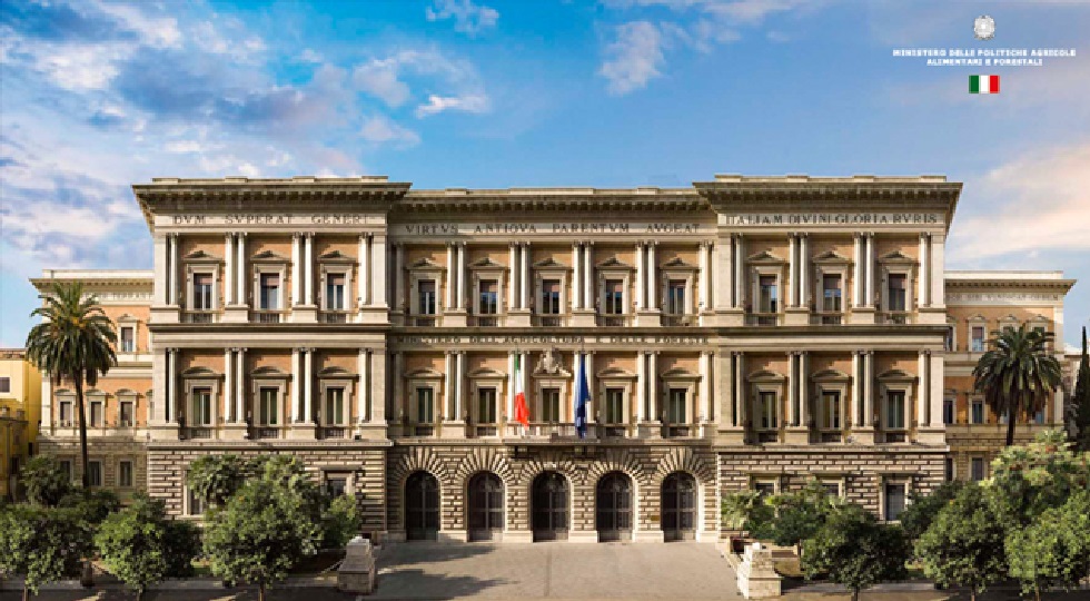 Ippica, Masaf: ‘Ok a consuntivo 2025, 13 mln residui per le società di corse’