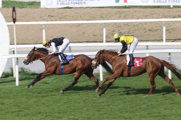 Ippodromo Snai San Siro, l’infrasettimanale accende il galoppo con il Premio Gnutti e la TQQ