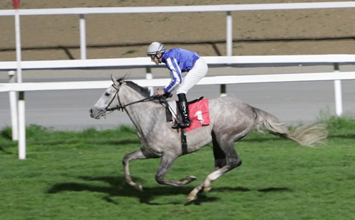 Ippodromo Snai San Siro, i premi Cloridano e Clerici nella 21esima di galoppo