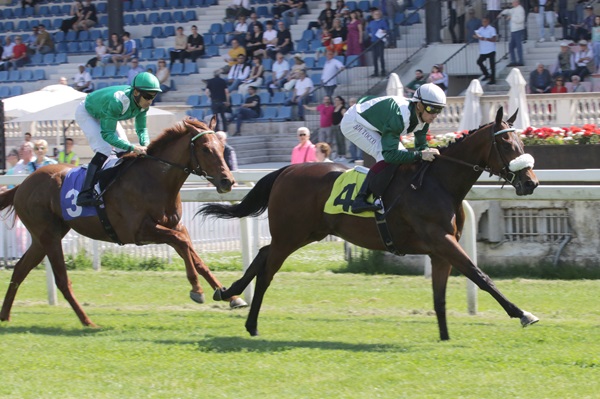 Ippodromo Snai San Siro: Lampugnano e Poncia protagonisti nel mercoledì di galoppo