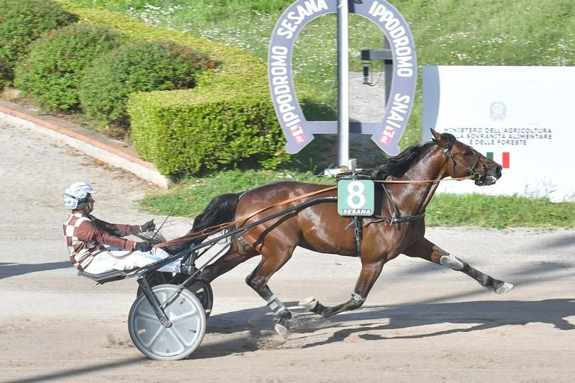 Ippodromi Snai, i risultati del weekend di corse
