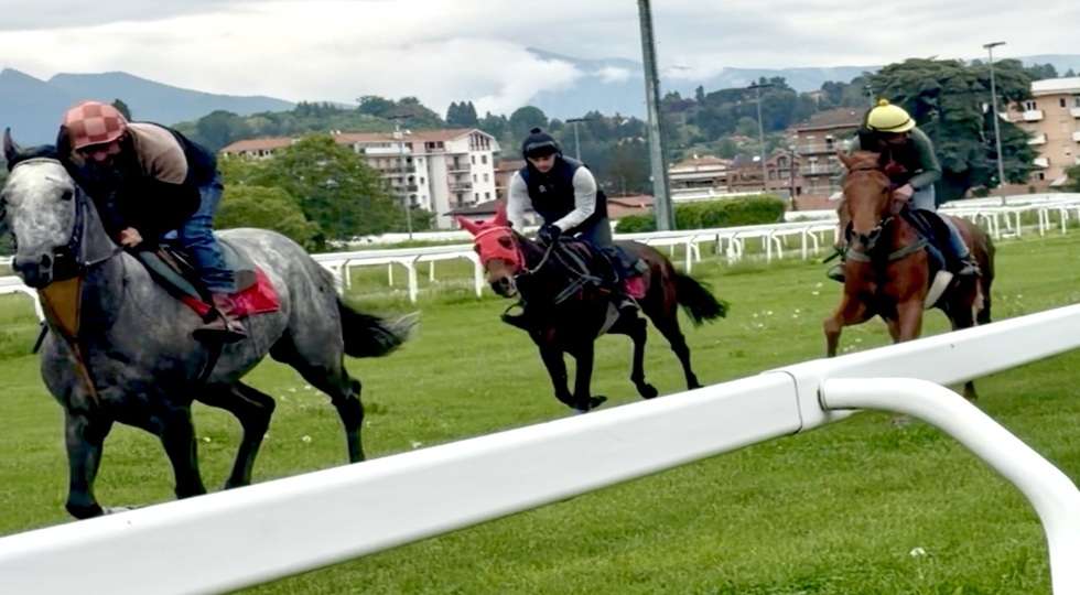 Ippodromo Varese, apre la pista di allenamento in erba
