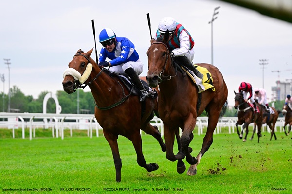 Ippodromo Snai San Siro, galoppo: Woodchuck domina l’Ambrosiano