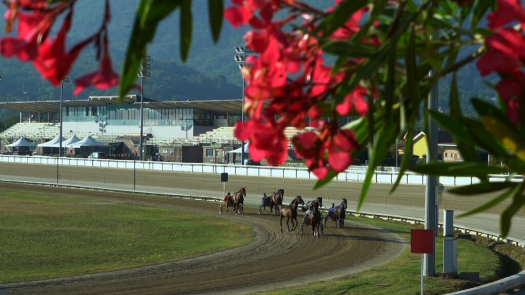Tar Lazio, ancora un ‘no’ al Masaf: nuova istruttoria per l’ippodromo di Albenga
