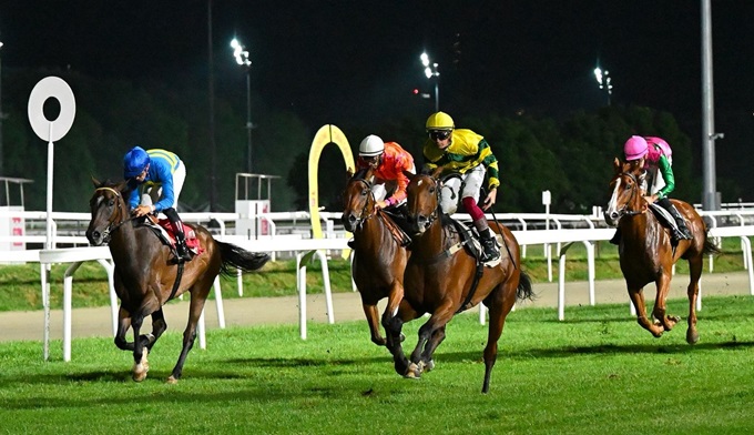 Ippodromo Snai San Siro, spicca il Premio Danedream Oaks 2011