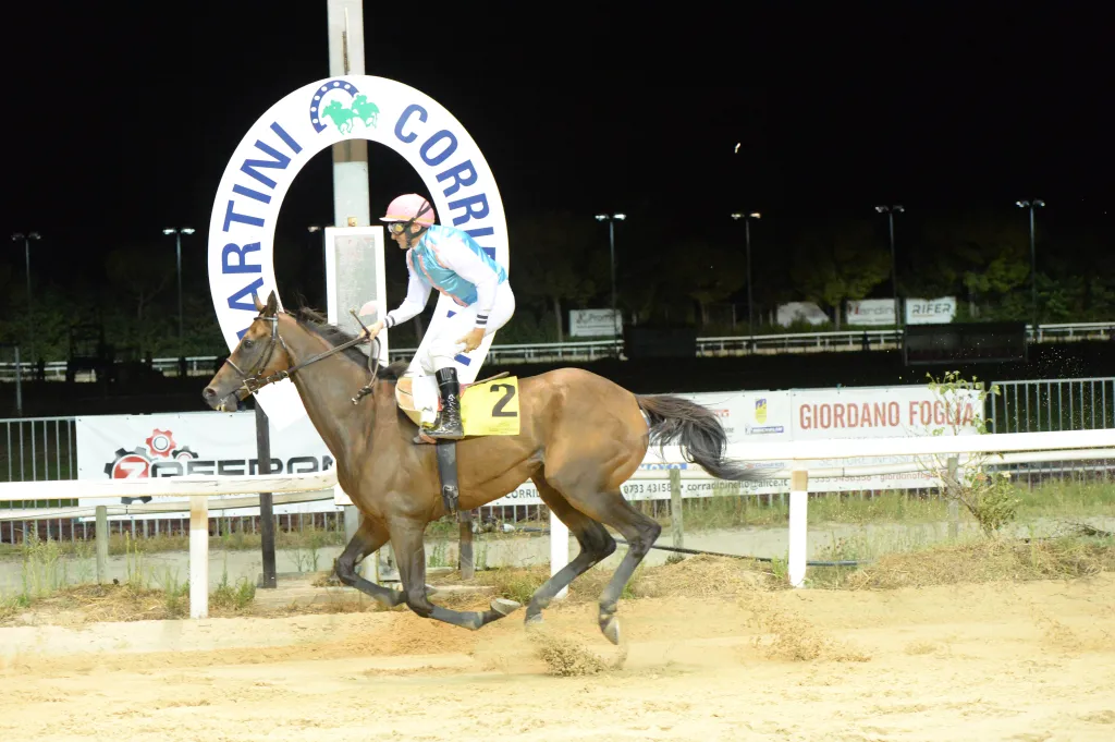 Estate al Galoppo a Corridonia: l’ippodromo Martini apre in notturna