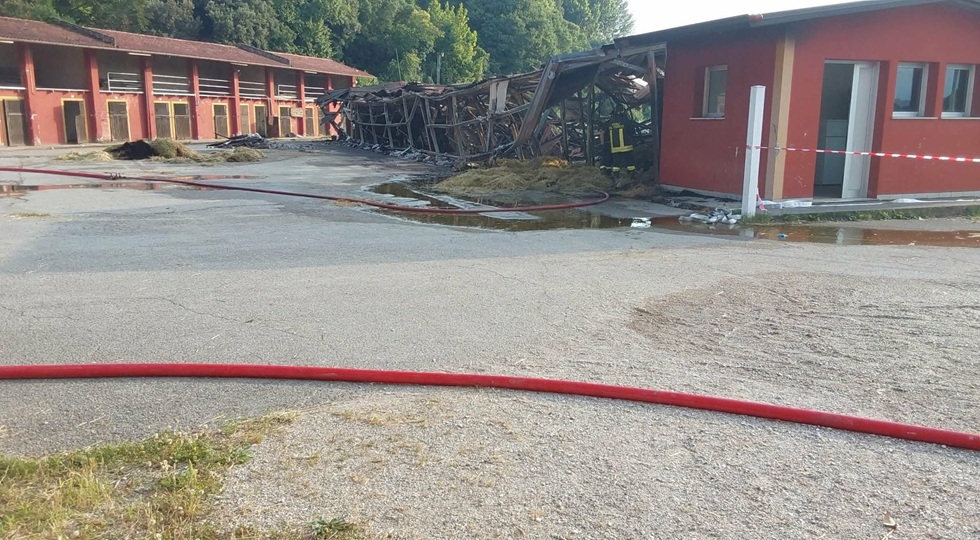 Incendio all’ippodromo di Treviso, morti 6 cavalli