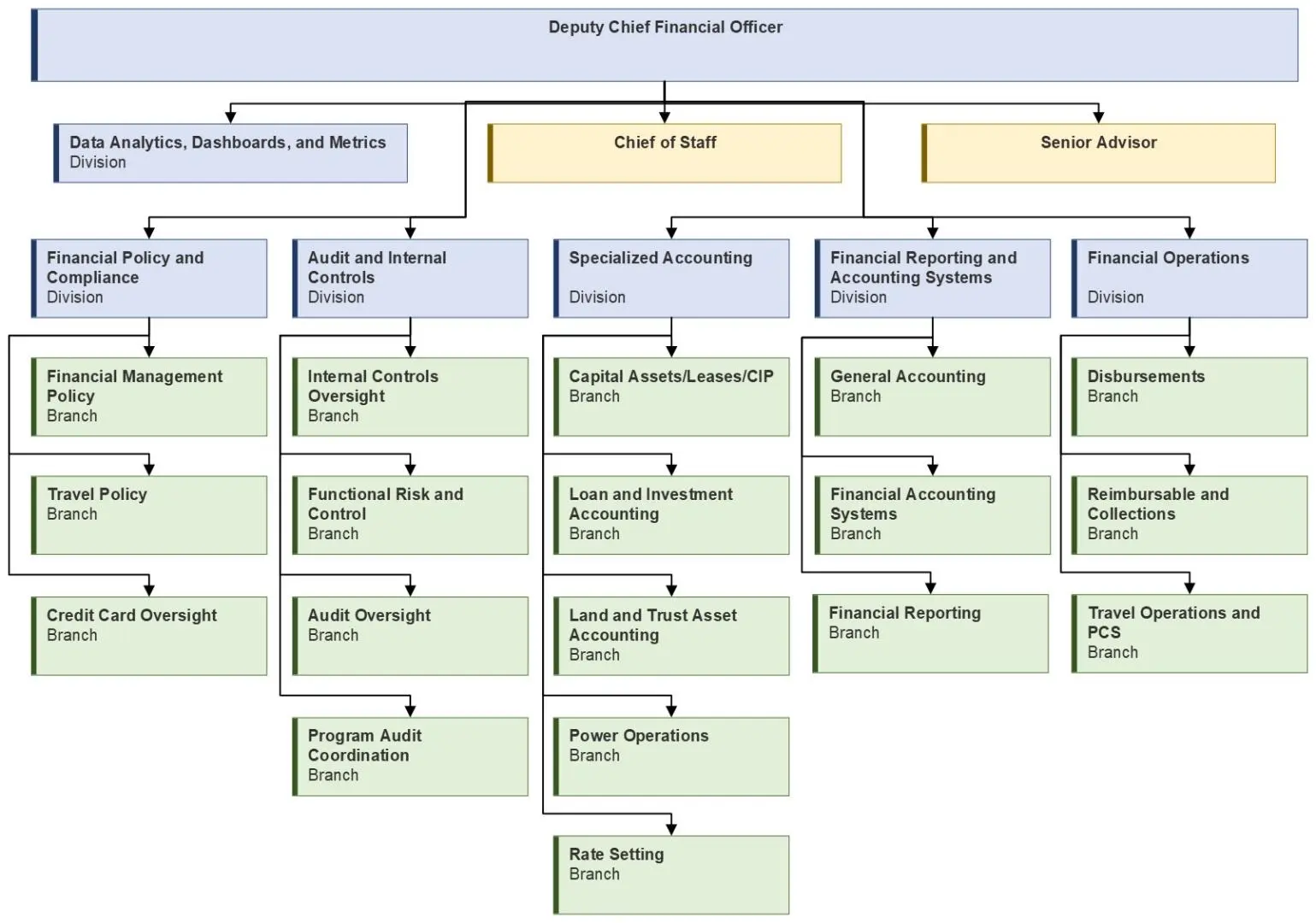 Organizational chart for financial auditing and compliance office structure.