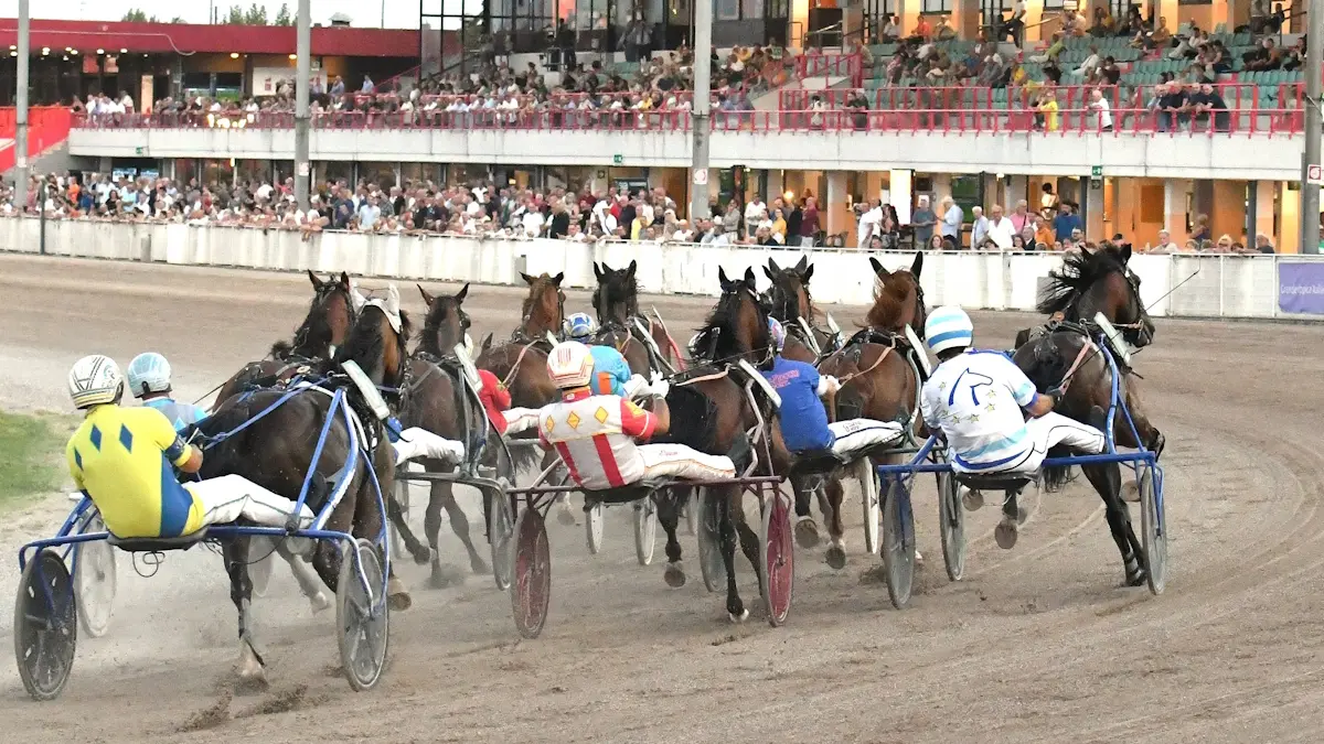 Harness racing horses and drivers in sulkies competing on a dirt track with a crowd in the background